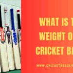 Cricket bats