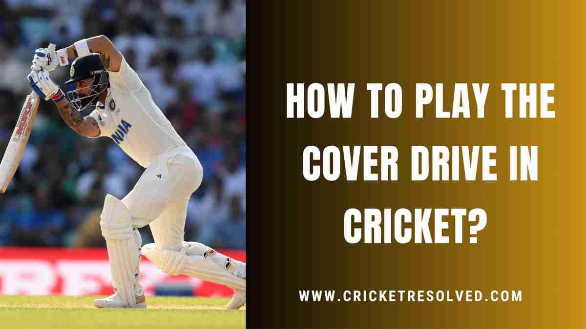 How to Play the Cover Drive in Cricket? Technique Explained - Cricket ...