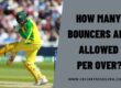 How Many Bouncers Are Allowed Per Over?