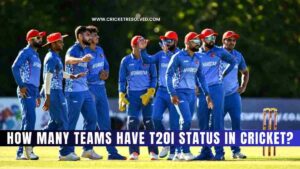 How Many Teams have T20I Status in Cricket?
