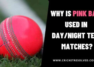 Why is Pink Ball Used in Day/Night Test Matches?