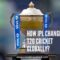 How IPL Changed T20 Cricket Globally?